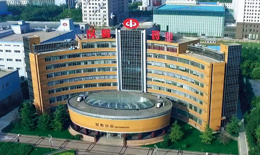 祝賀顆粒物過(guò)濾效率儀中標石家莊以嶺藥業(yè)！